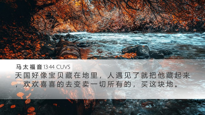 马 太 福 音 13:44 CUVS Bible Verse Image