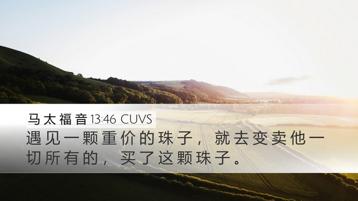 马 太 福 音 13:46 CUVS Desktop Wallpaper - 遇 见 一 颗 重 价 的 珠 子 ， 就 去 - Desktop Bible Verse Wallpaper