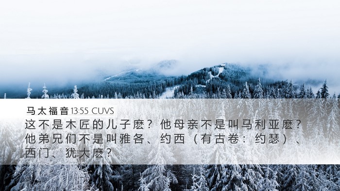 马 太 福 音 13:55 CUVS Bible Verse Image