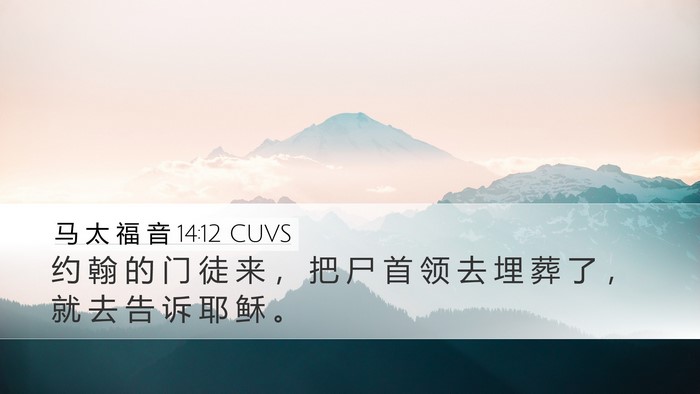 马 太 福 音 14:12 CUVS Desktop Wallpaper - 约 翰 的 门 徒 来 ， 把 尸 首 领 去 - Desktop Bible Verse Wallpaper