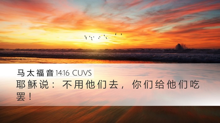 马 太 福 音 14:16 CUVS Desktop Wallpaper - 耶 稣 说 ： 不 用 他 们 去 ， 你 们 - Desktop Bible Verse Wallpaper