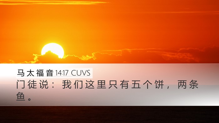 马 太 福 音 14:17 CUVS Bible Verse Image