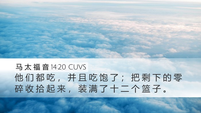 马 太 福 音 14:20 CUVS Bible Verse Image