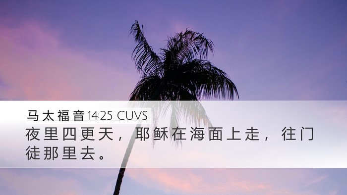 马 太 福 音 14:25 CUVS Bible Verse Image