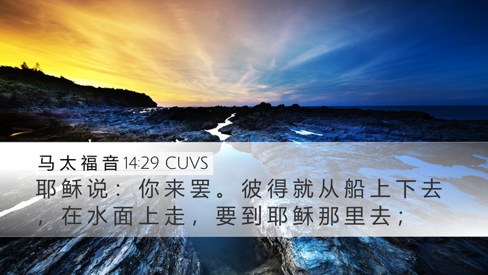 马 太 福 音 14:29 CUVS Desktop Wallpaper - 耶 稣 说 ： 你 来 罢 。 彼 得 就 从 - Desktop Bible Verse Wallpaper