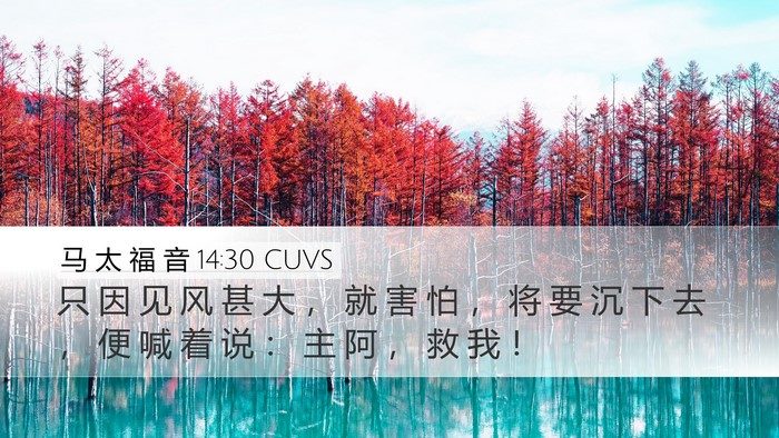 马 太 福 音 14:30 CUVS Desktop Wallpaper - 只 因 见 风 甚 大 ， 就 害 怕 ， 将 - Desktop Bible Verse Wallpaper