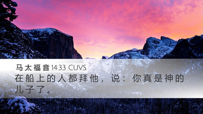马 太 福 音 14:33 CUVS Bible Verse Image