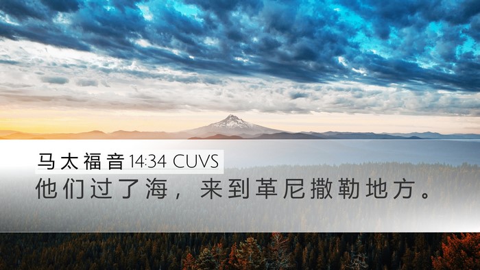马 太 福 音 14:34 CUVS Bible Verse Image