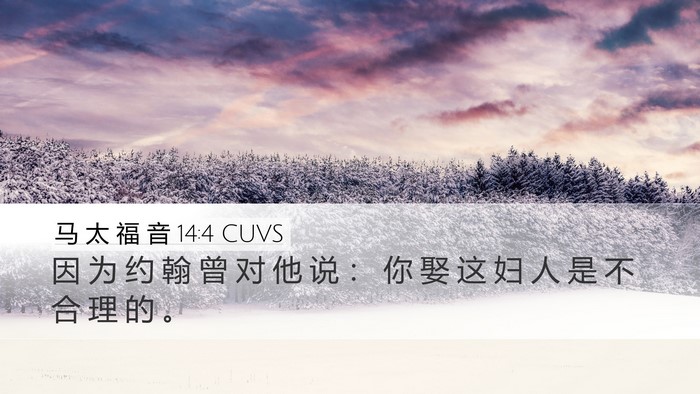 马 太 福 音 14:4 CUVS Desktop Wallpaper - 因 为 约 翰 曾 对 他 说 ： 你 娶 这 - Desktop Bible Verse Wallpaper