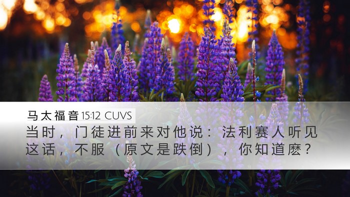 马 太 福 音 15:12 CUVS Bible Verse Image