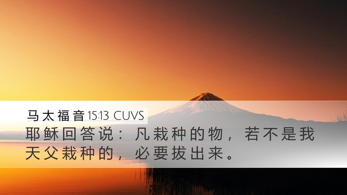 马 太 福 音 15:13 CUVS Bible Verse Image