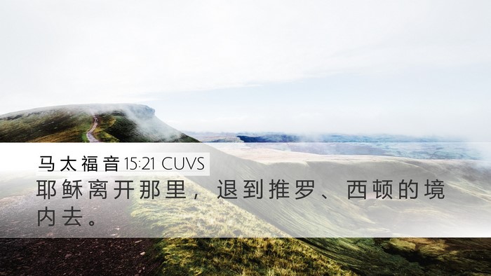 马 太 福 音 15:21 CUVS Bible Verse Image