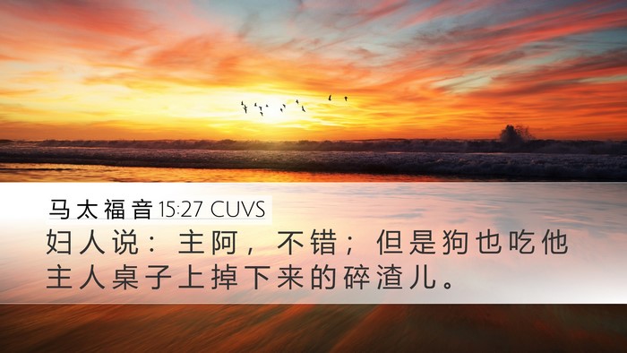 马 太 福 音 15:27 CUVS Bible Verse Image