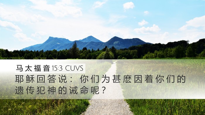 马 太 福 音 15:3 CUVS Bible Verse Image