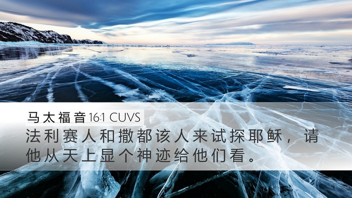 马 太 福 音 16:1 CUVS Bible Verse Image