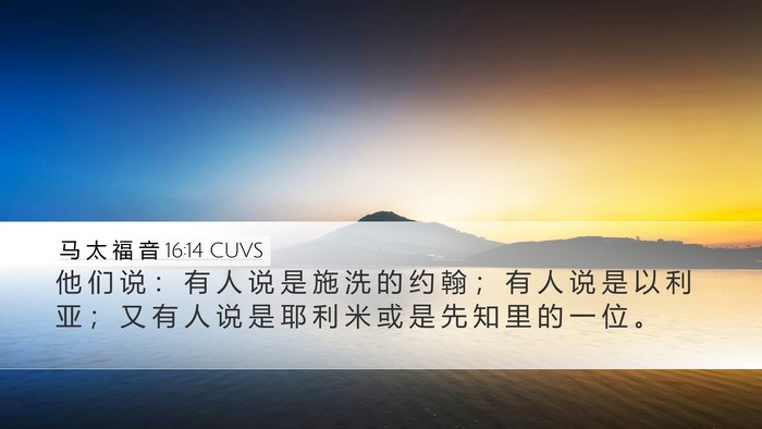 马 太 福 音 16:14 CUVS Bible Verse Image