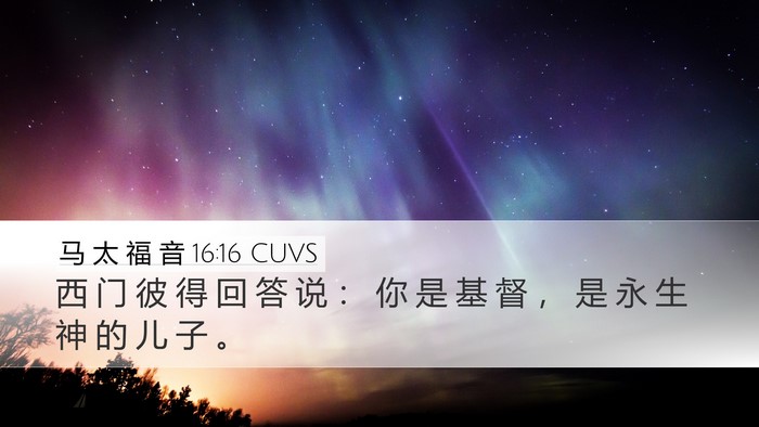 马 太 福 音 16:16 CUVS Bible Verse Image