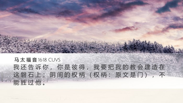 马 太 福 音 16:18 CUVS Bible Verse Image