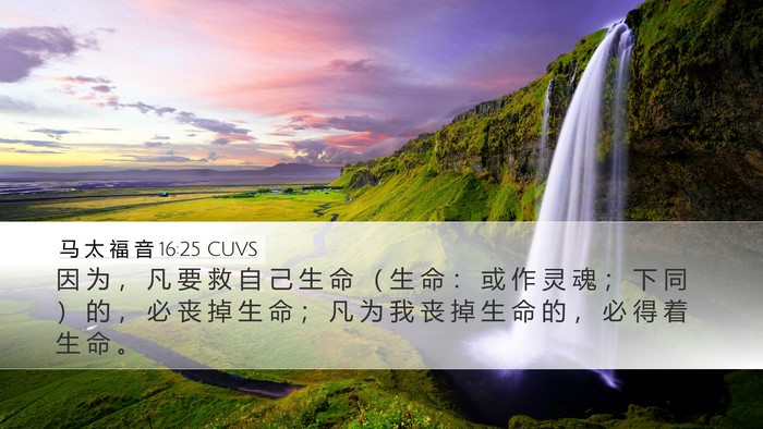 马 太 福 音 16:25 CUVS Bible Verse Image