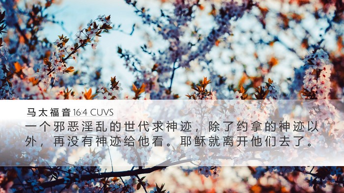 马 太 福 音 16:4 CUVS Bible Verse Image