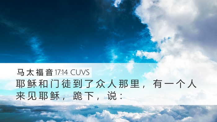马 太 福 音 17:14 CUVS Bible Verse Image