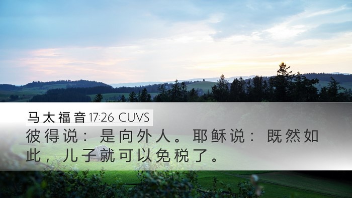 马 太 福 音 17:26 CUVS Bible Verse Image