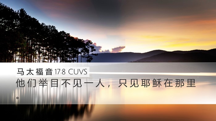 马 太 福 音 17:8 CUVS Bible Verse Image