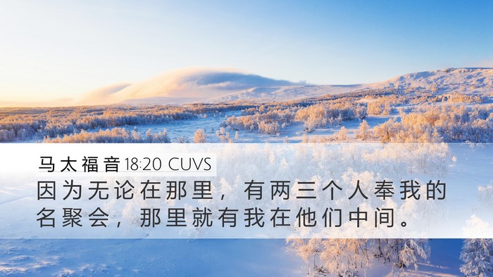 马 太 福 音 18:20 CUVS Bible Verse Image