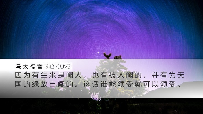 马 太 福 音 19:12 CUVS Bible Verse Image