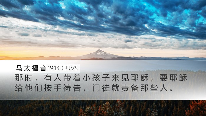 马 太 福 音 19:13 CUVS Bible Verse Image