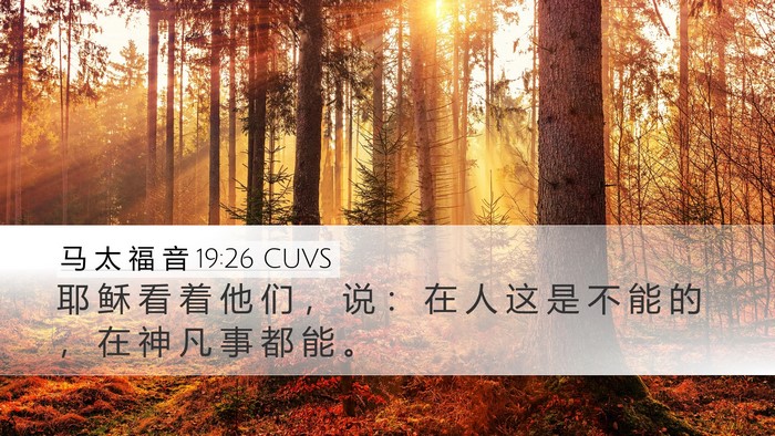 马 太 福 音 19:26 CUVS Bible Verse Image