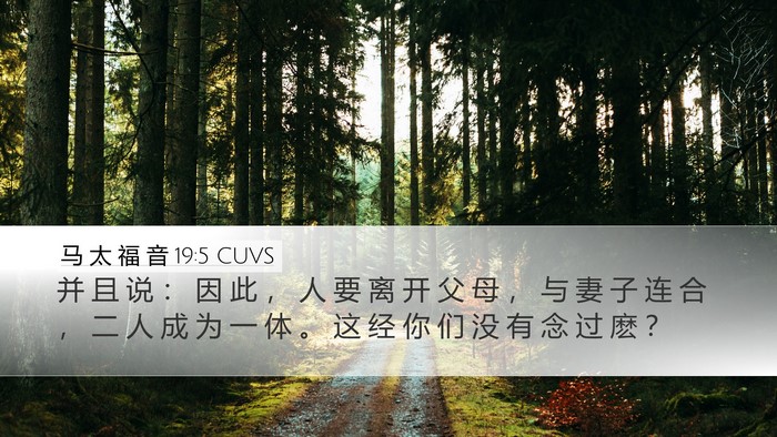 马 太 福 音 19:5 CUVS Bible Verse Image