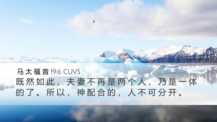 马 太 福 音 19:6 CUVS Bible Verse Image