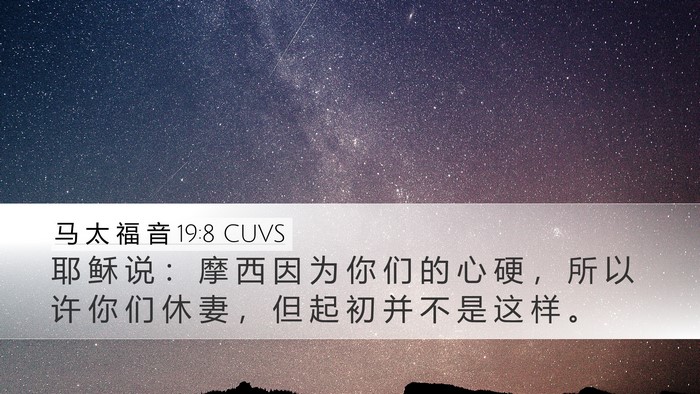 马 太 福 音 19:8 CUVS Bible Verse Image