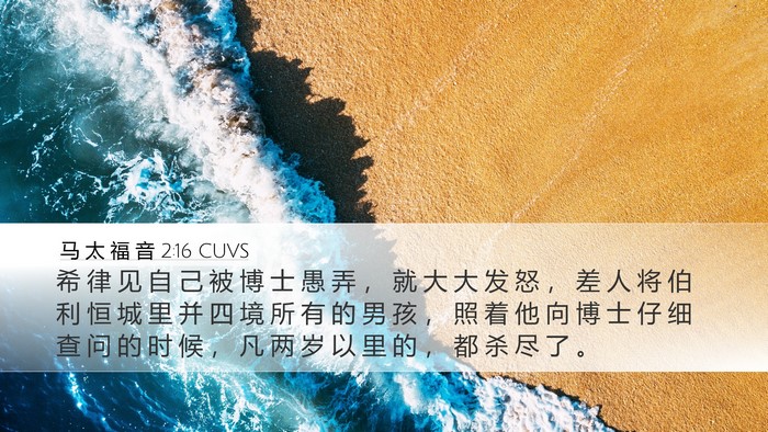 马 太 福 音 2:16 CUVS Bible Verse Image