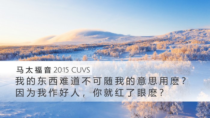 马 太 福 音 20:15 CUVS Bible Verse Image