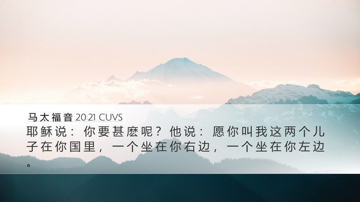 马 太 福 音 20:21 CUVS Bible Verse Image
