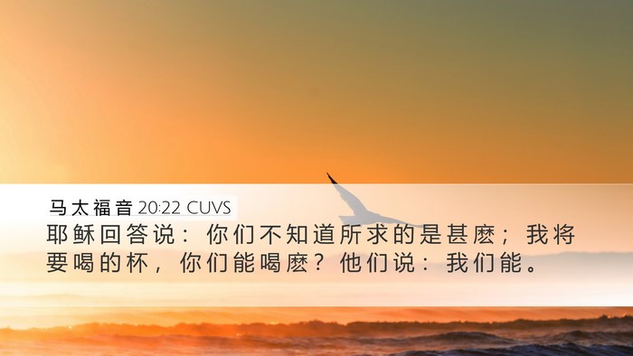 马 太 福 音 20:22 CUVS Desktop Wallpaper - 耶 稣 回 答 说 ： 你 们 不 知 道 所 - Desktop Bible Verse Wallpaper