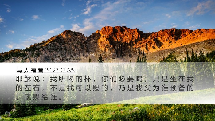 马 太 福 音 20:23 CUVS Bible Verse Image