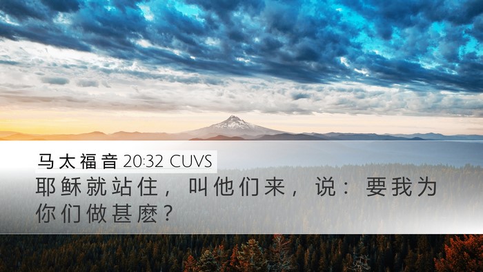 马 太 福 音 20:32 CUVS Desktop Wallpaper - 耶 稣 就 站 住 ， 叫 他 们 来 ， 说 - Desktop Bible Verse Wallpaper