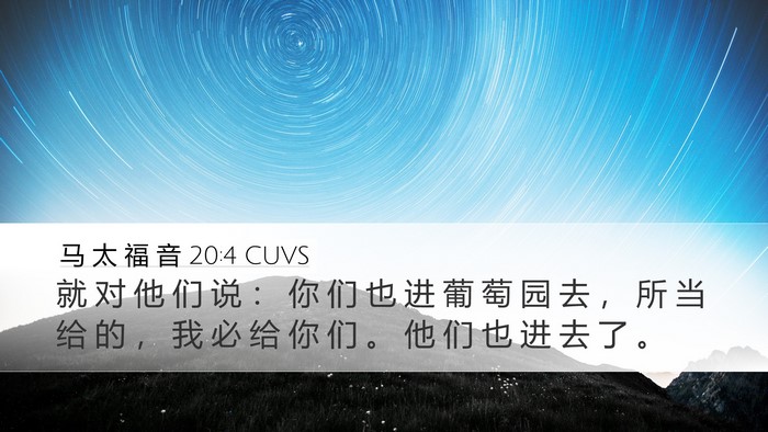 马 太 福 音 20:4 CUVS Desktop Wallpaper - 就 对 他 们 说 ： 你 们 也 进 葡 萄 - Desktop Bible Verse Wallpaper