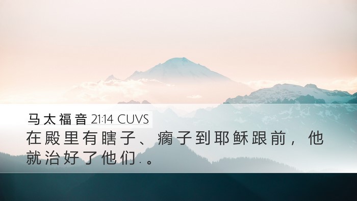 马 太 福 音 21:14 CUVS Bible Verse Image