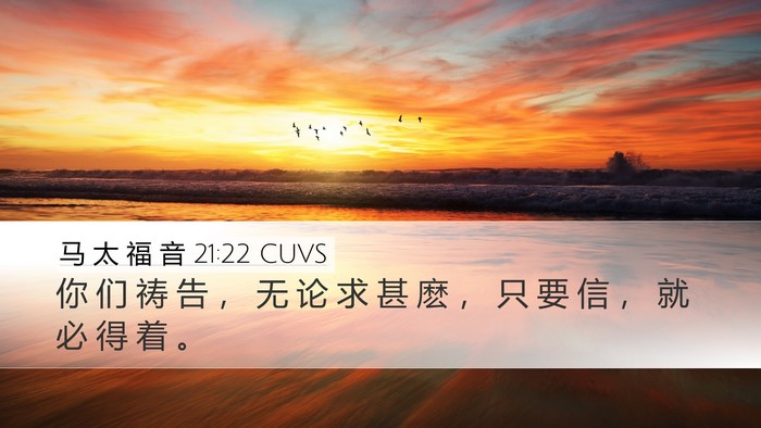 马 太 福 音 21:22 CUVS Bible Verse Image