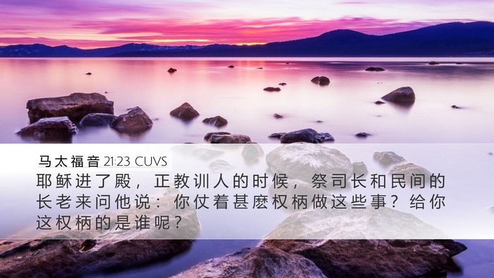 马 太 福 音 21:23 CUVS Bible Verse Image
