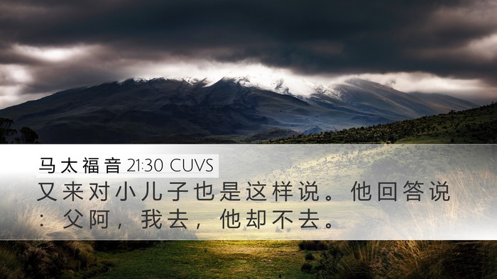 马 太 福 音 21:30 CUVS Bible Verse Image