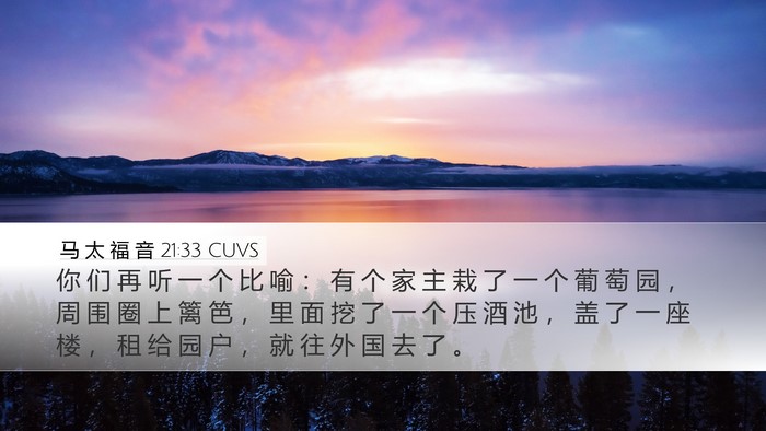 马 太 福 音 21:33 CUVS Bible Verse Image