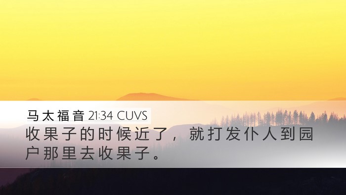马 太 福 音 21:34 CUVS Bible Verse Image
