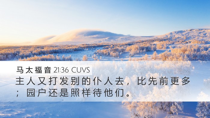 马 太 福 音 21:36 CUVS Desktop Wallpaper - 主 人 又 打 发 别 的 仆 人 去 ， 比 - Desktop Bible Verse Wallpaper