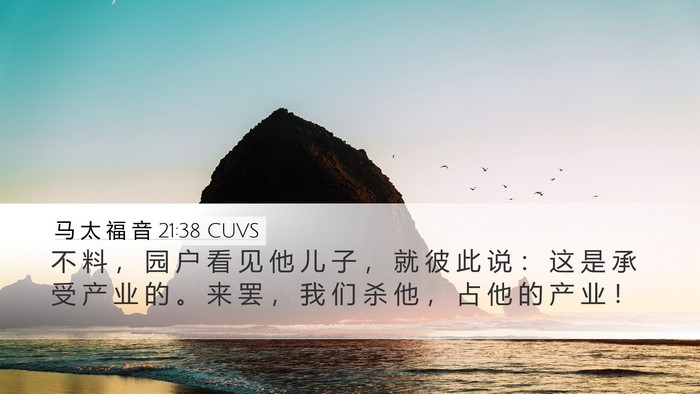马 太 福 音 21:38 CUVS Bible Verse Image