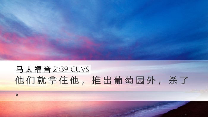 马 太 福 音 21:39 CUVS Desktop Wallpaper - 他 们 就 拿 住 他 ， 推 出 葡 萄 园 - Desktop Bible Verse Wallpaper